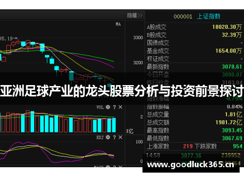 亚洲足球产业的龙头股票分析与投资前景探讨